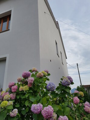 Front of property - B&B Buscemi (Pistoia)