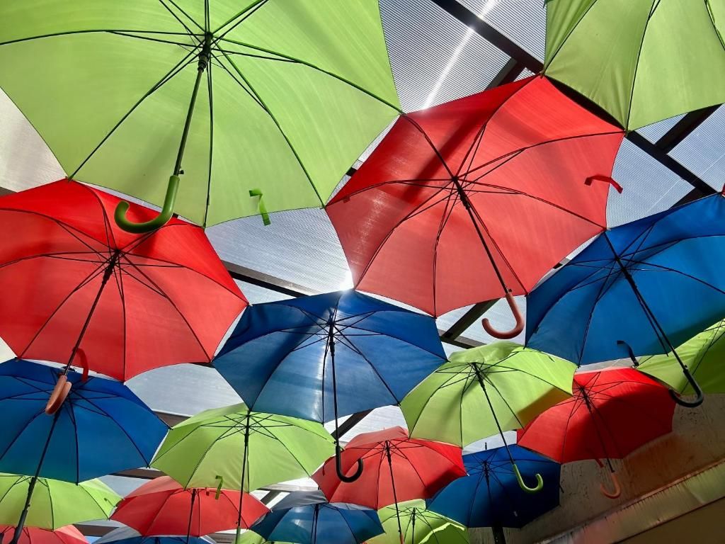 A collection of umbrellas hanging in an indoor setting.
