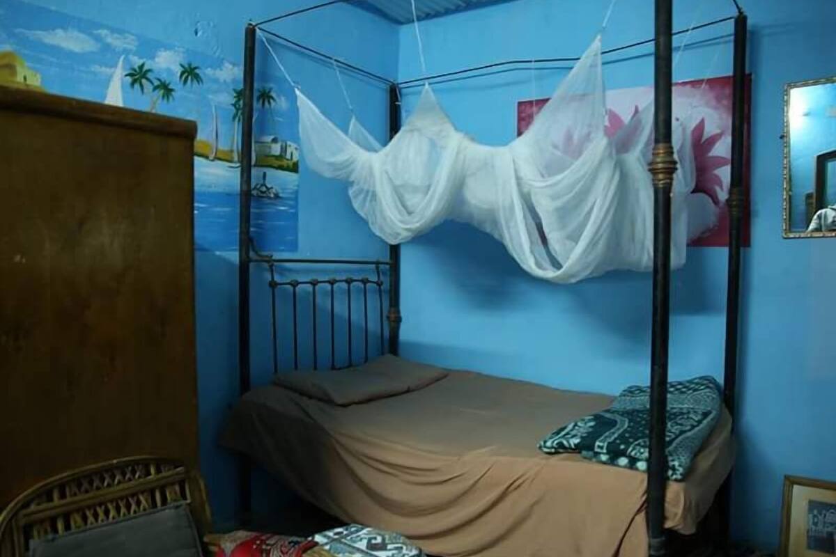 Iron/ironing board, free cots/infant beds, rollaway beds, free WiFi