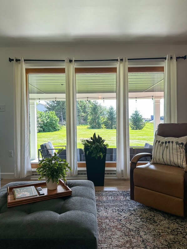 TV, lareira, DVD player