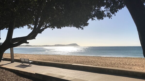 A beach with a bench and trees, a clear sky, and a distant landmass.