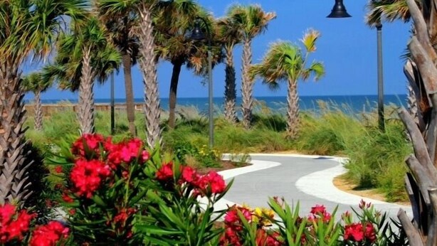 Property grounds - Sea Cloisters II Ocean Front Beach Retreat (North Myrtle Beach)