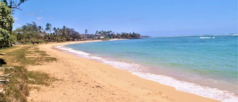 Plage, chaises longues, serviettes de plage