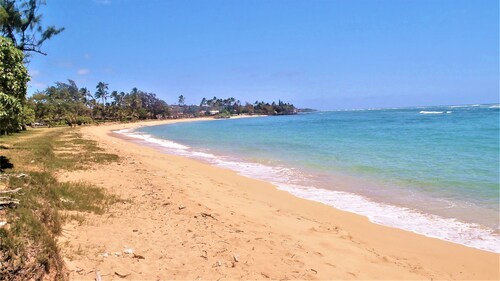 It's All About the View! Oceanfront, A/C, Elevator SPECIAL! 1/6-1/31/26 Info ↓