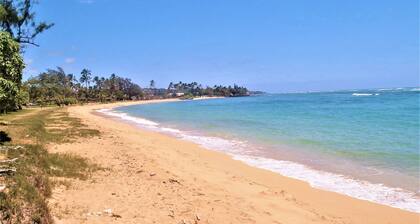 It's All About the View! Oceanfront, A/C, Elevator SPECIAL! 1/6-1/31/26 Info ↓