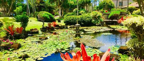 A garden with a pond, palm trees, and a building in the background.