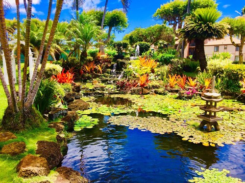 C'est tout sur la vue! Condo Oceanfront remodelé au Pono Kai à Kapaa