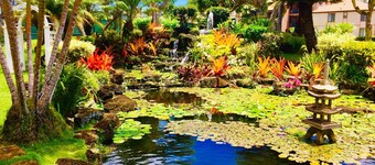 Det handlar om utsikten! Remodeled Oceanfront Condo på Pono Kai i Kapaa