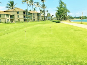 A well-maintained golf course with a clear path, palm trees, and a building with balconies in the background. - It's all About the View! Oceanfront, A/C, Elevator (Kapaa)