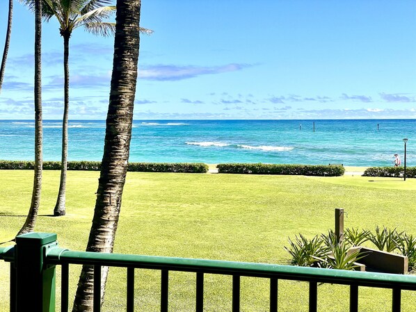 A view of a grassy area with palm trees and a body of water in the background.