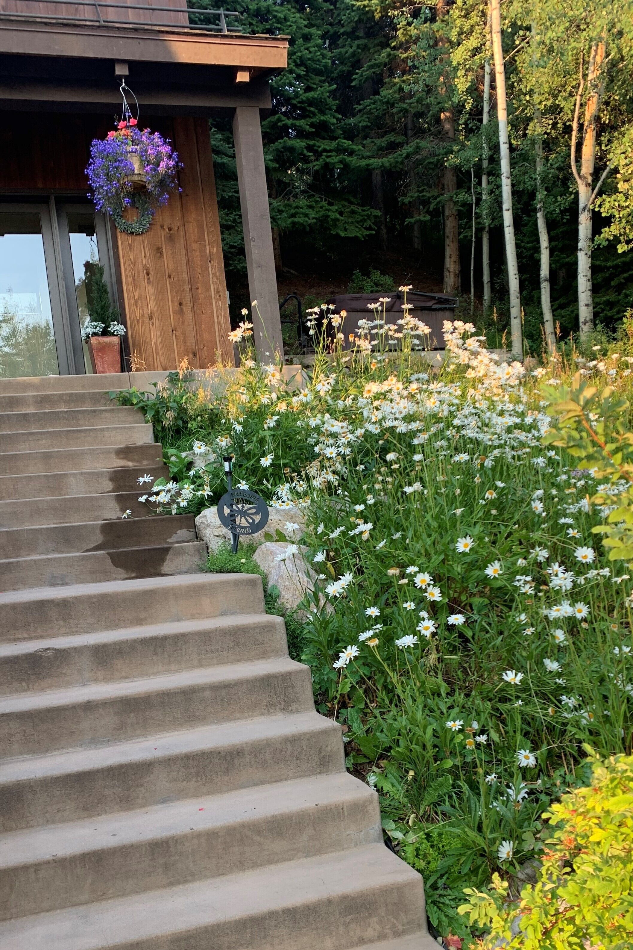 Un escalier en bois menant à une maison ornée d’un panier à fleurs suspendu.