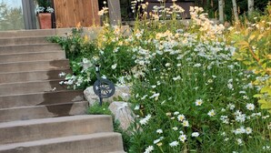 Eine Holztreppe führt zu einem Haus, an dem ein Blumenkorb hängt.