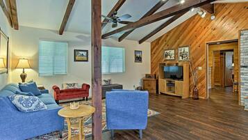 TV, fireplace, DVD player, books