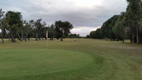 Een golfbaan met een vlaggenstok in de voorgrond, omringd door bomen en open grasvelden.