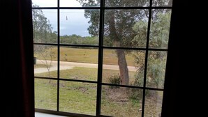 Une vue à travers une fenêtre à carreaux, donnant sur un espace verdoyant avec des arbres et un sentier.