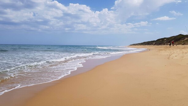 Une vaste plage de sable fin, avec de douces vagues, un ciel dégagé et quelques personnes visibles au loin.