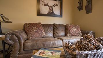 Smart TV, DVD player, books, video library