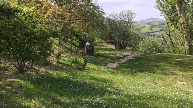 A grassy field with a stone pathway leading through a wooded area. - Secluded house in the mountains with garden (Pergola)