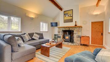 TV, fireplace, DVD player