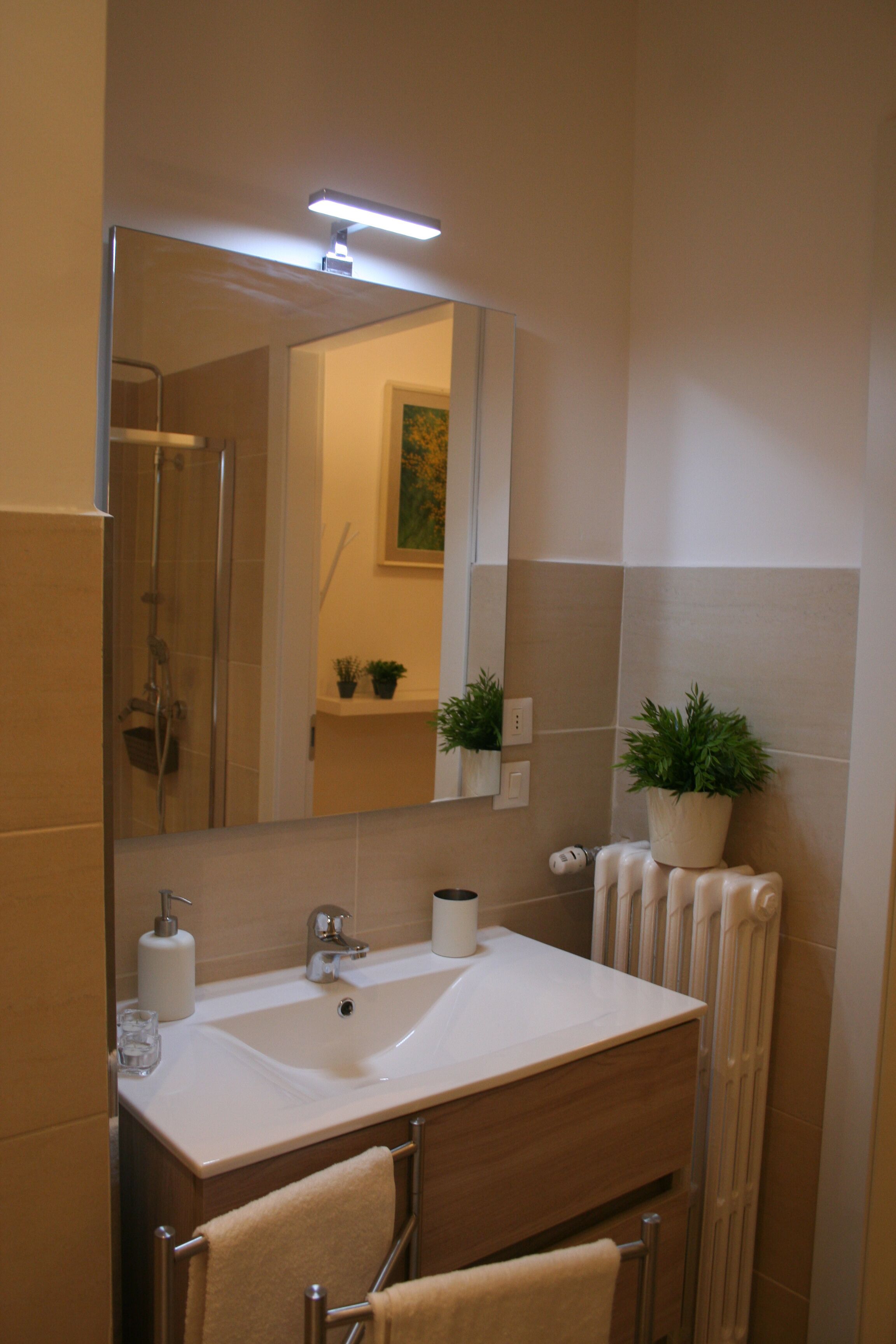 A bathroom with a sink, mirror, towel rack, potted plant, and shower.