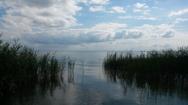 Unclassified image, 1 of 18, button