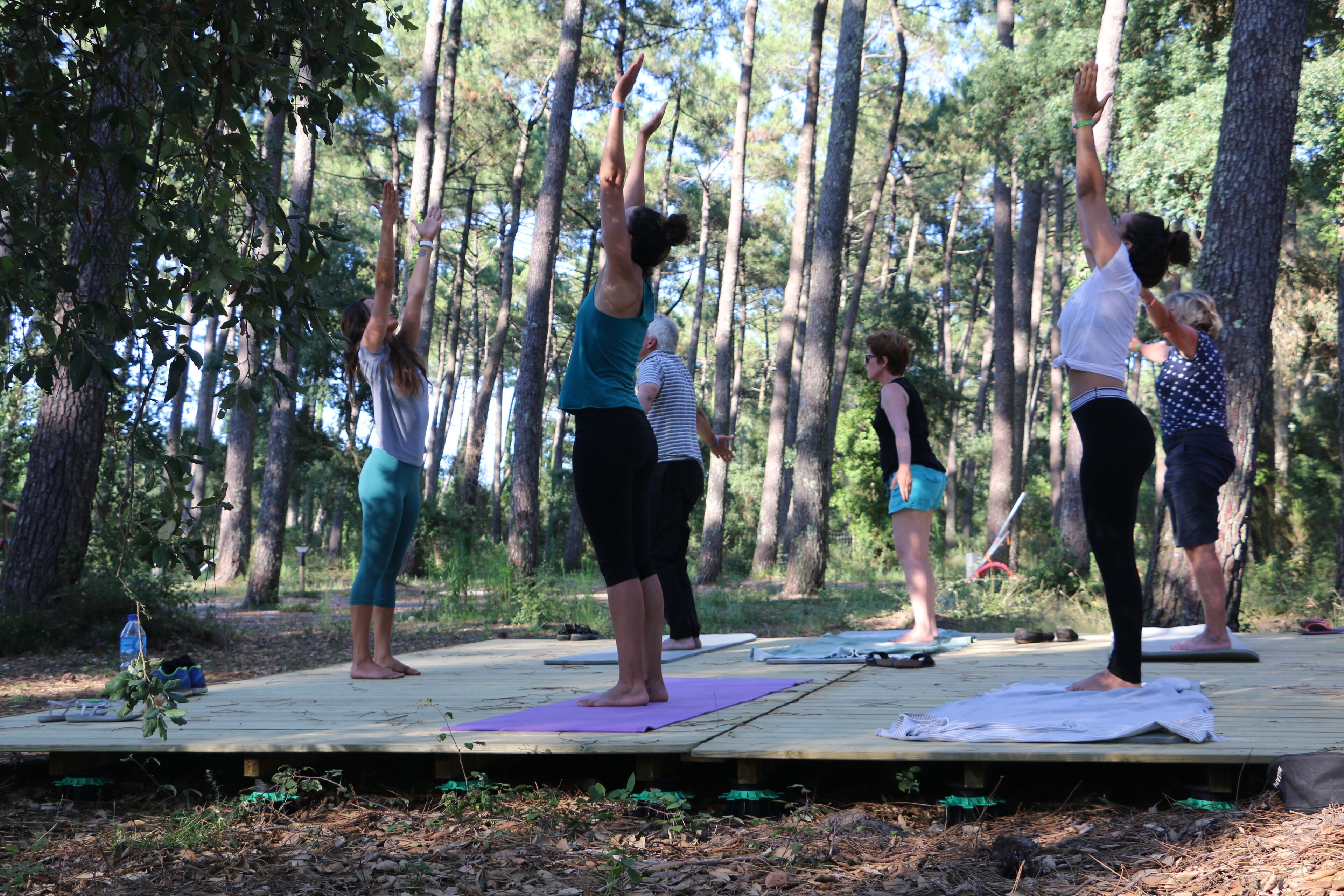 Eine Gruppe von Menschen übt Yoga auf einer Holzplattform in bewaldeter Landschaft.