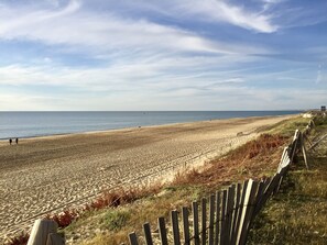 Plage à proximité, beach-volley, surf