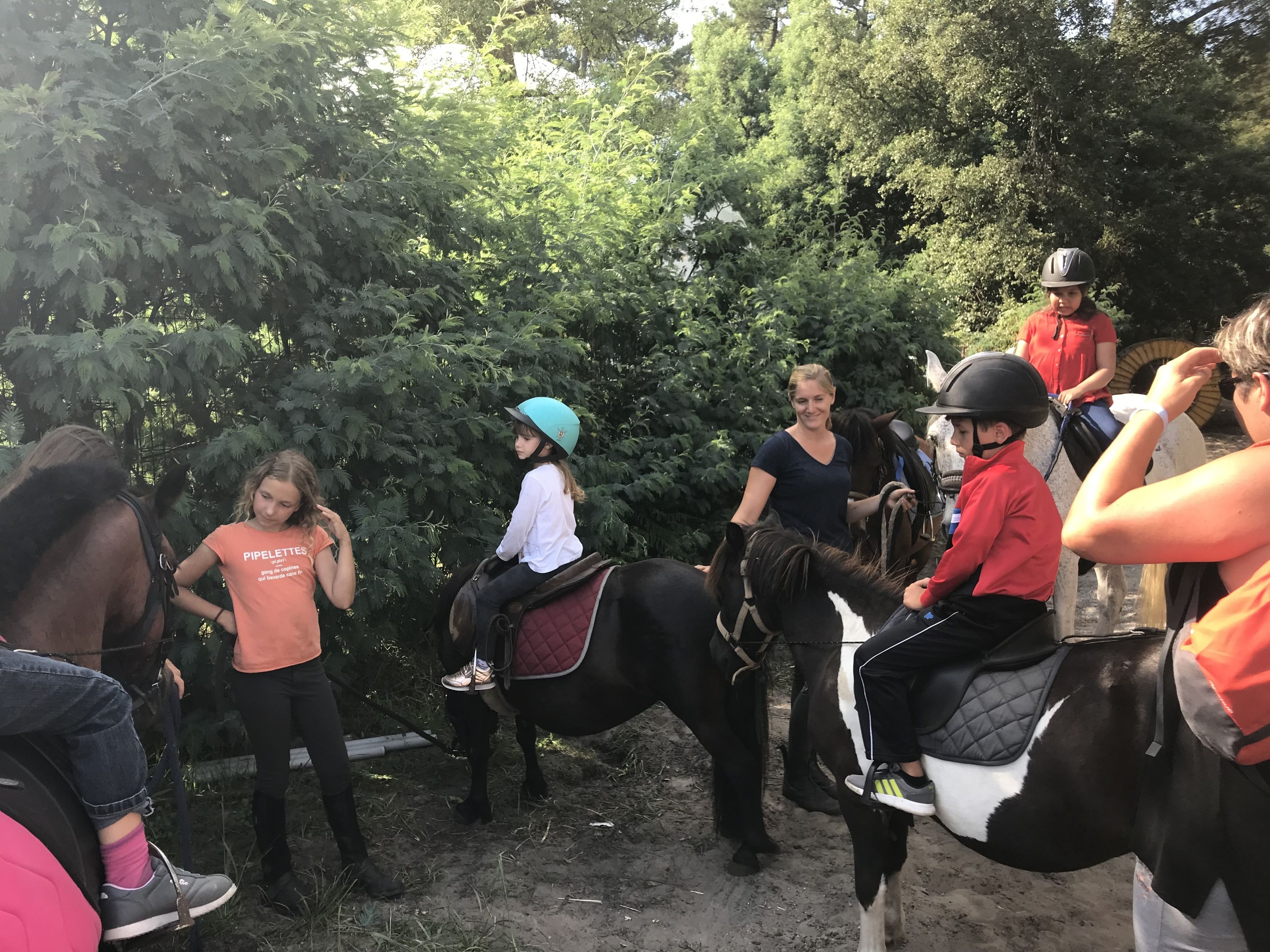 A group of people on horseback in an outdoor setting with trees in the background.