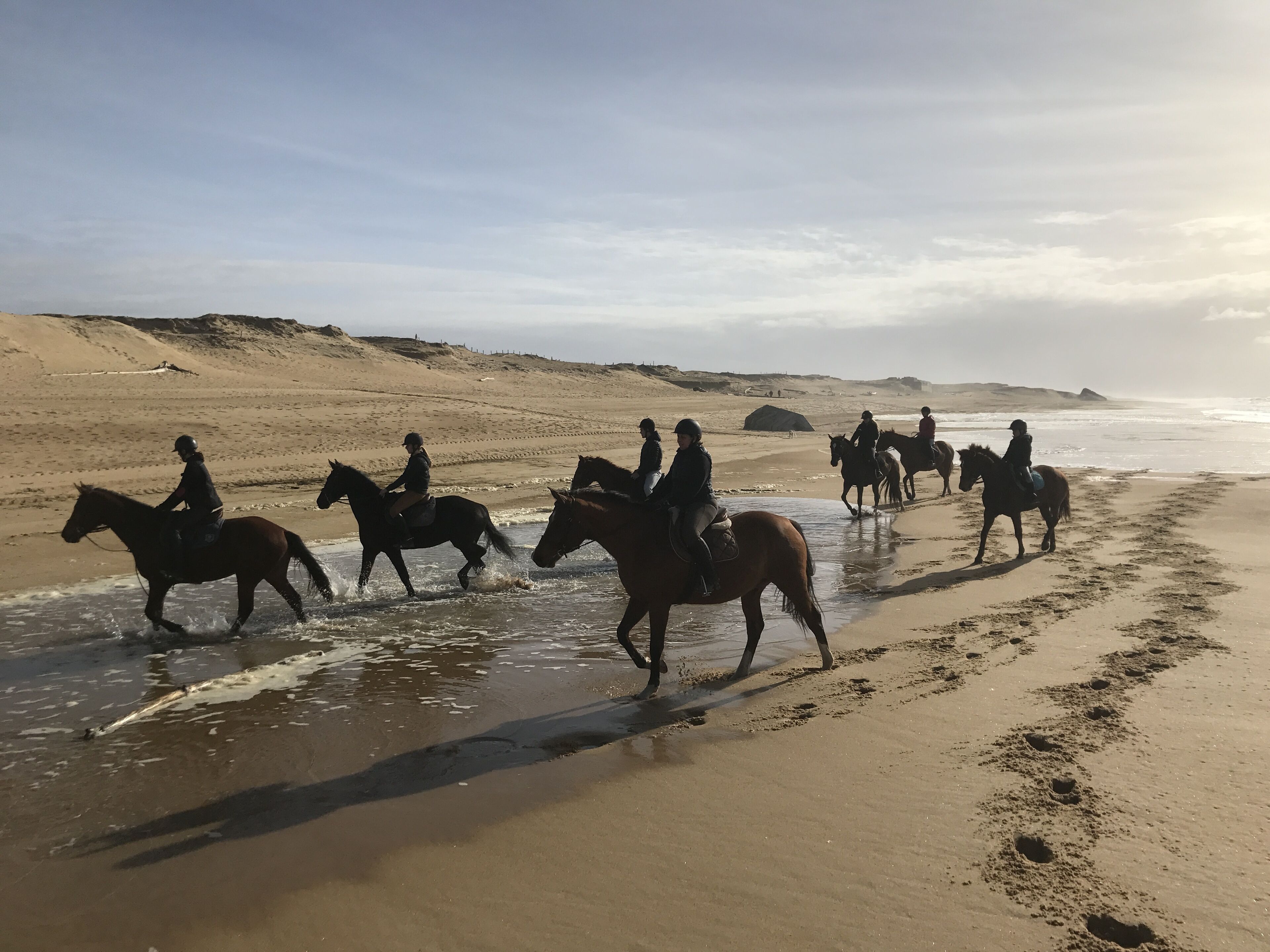 Ein Strand mit Pferden und Reitern.