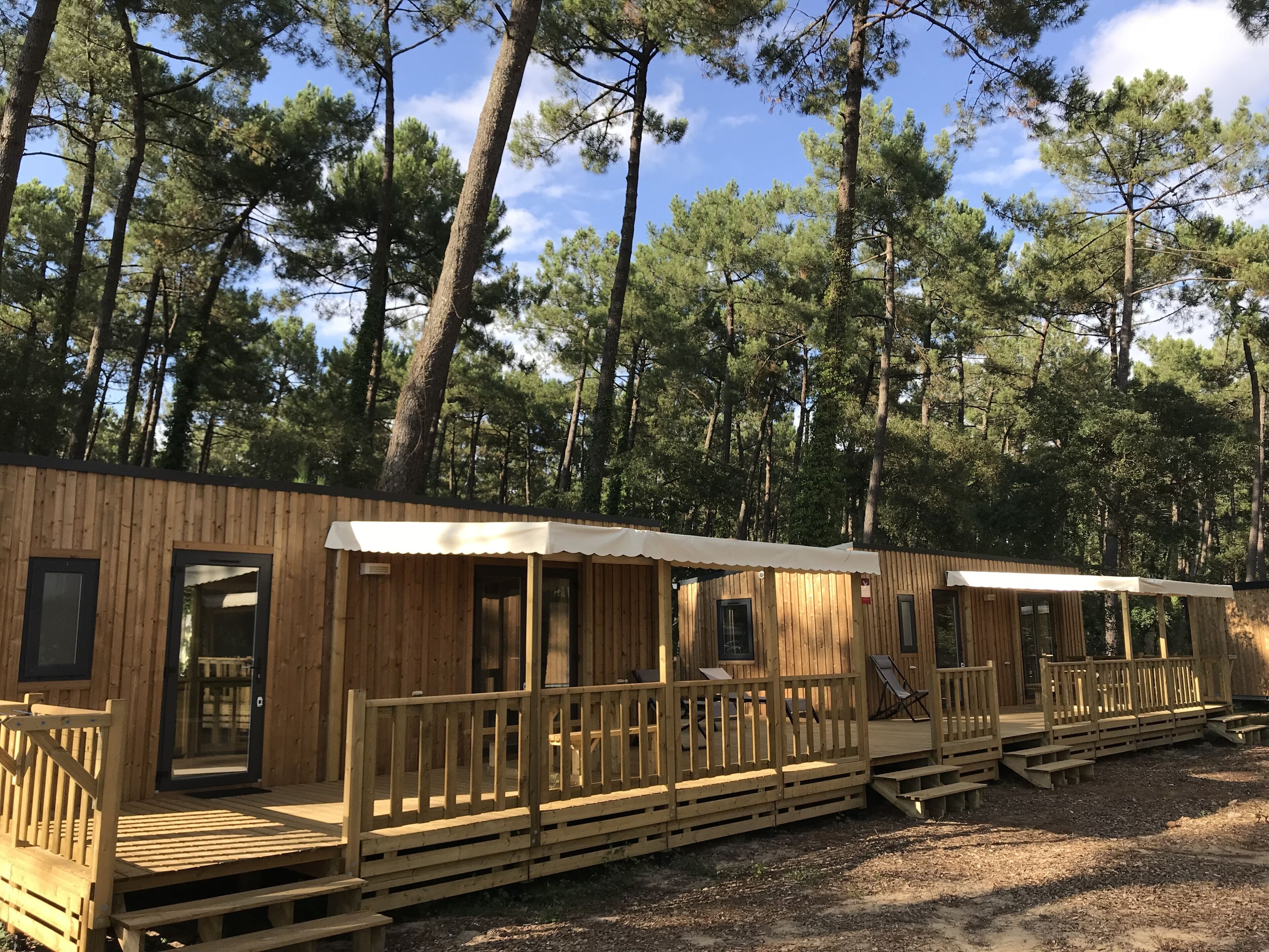 Una hilera de cabañas de madera con balcones, ubicadas en una zona boscosa.