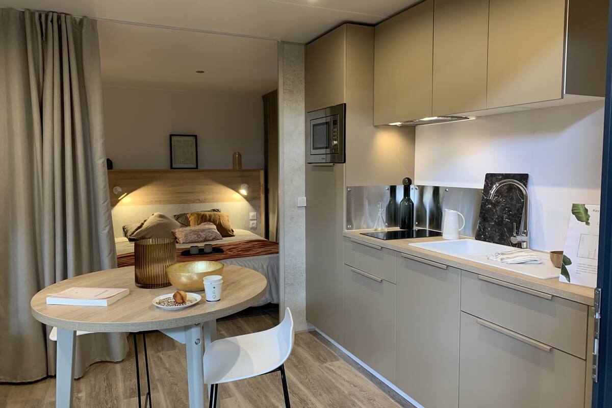 premium suite | private kitchen | full-sized fridge, microwave, stovetop, dishwasher