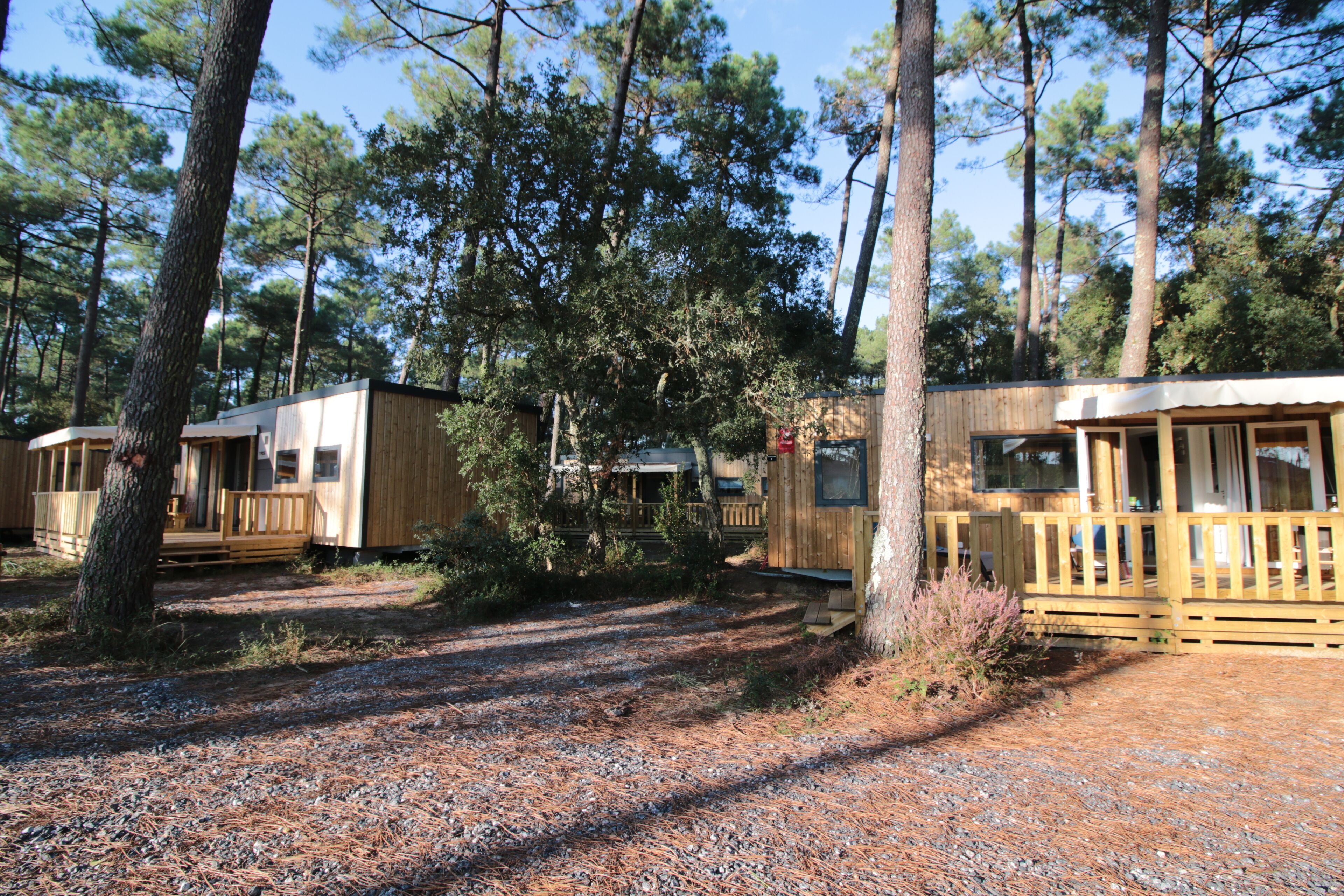 A forested campsite with wooden cabins, each featuring a porch and a window.