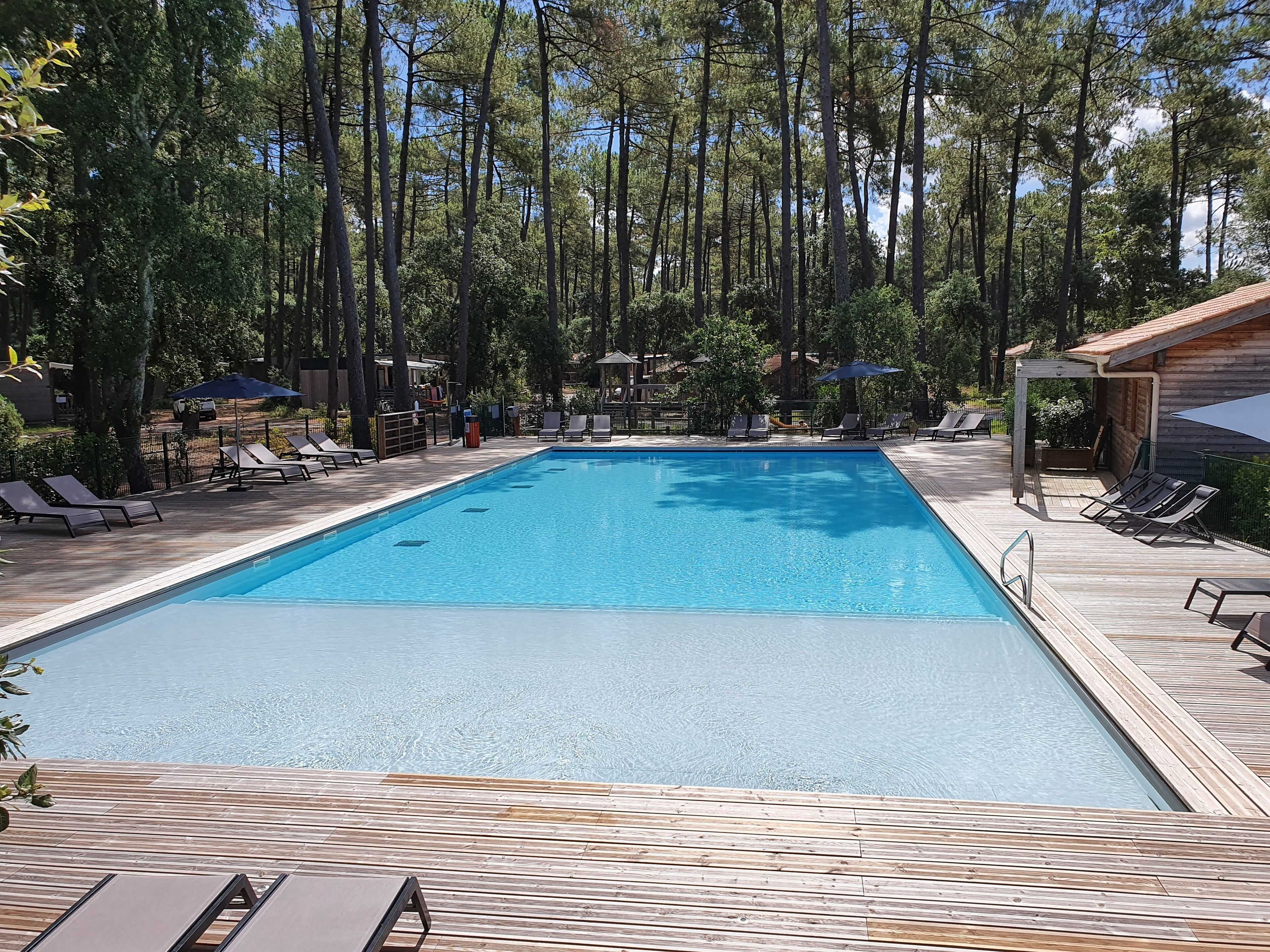 Una piscina rectangular rodeada por una terraza de madera y sillas de descanso, con altos árboles al fondo.