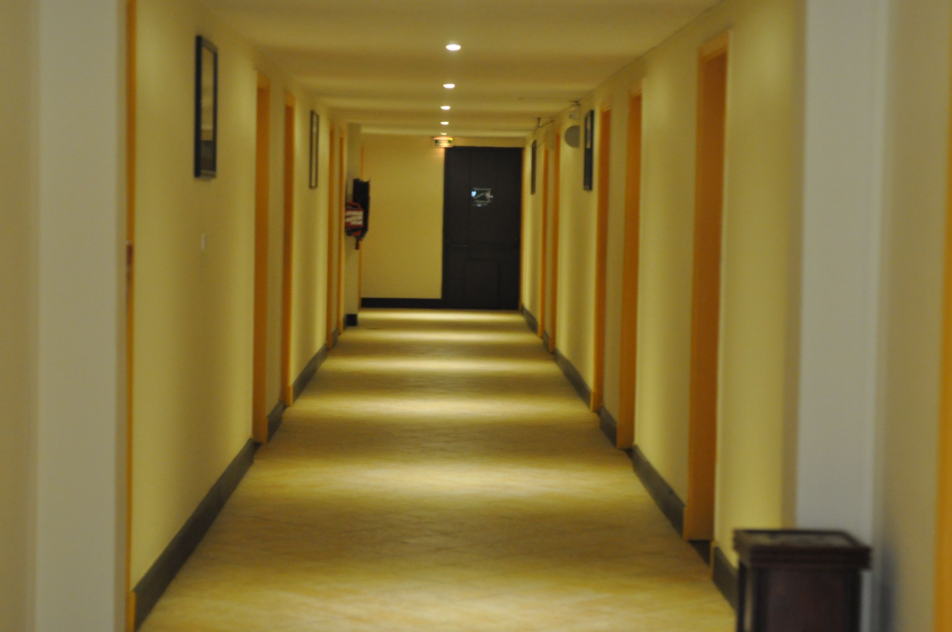 A hotel hallway with a carpeted floor, wooden doors, and framed pictures on the walls.