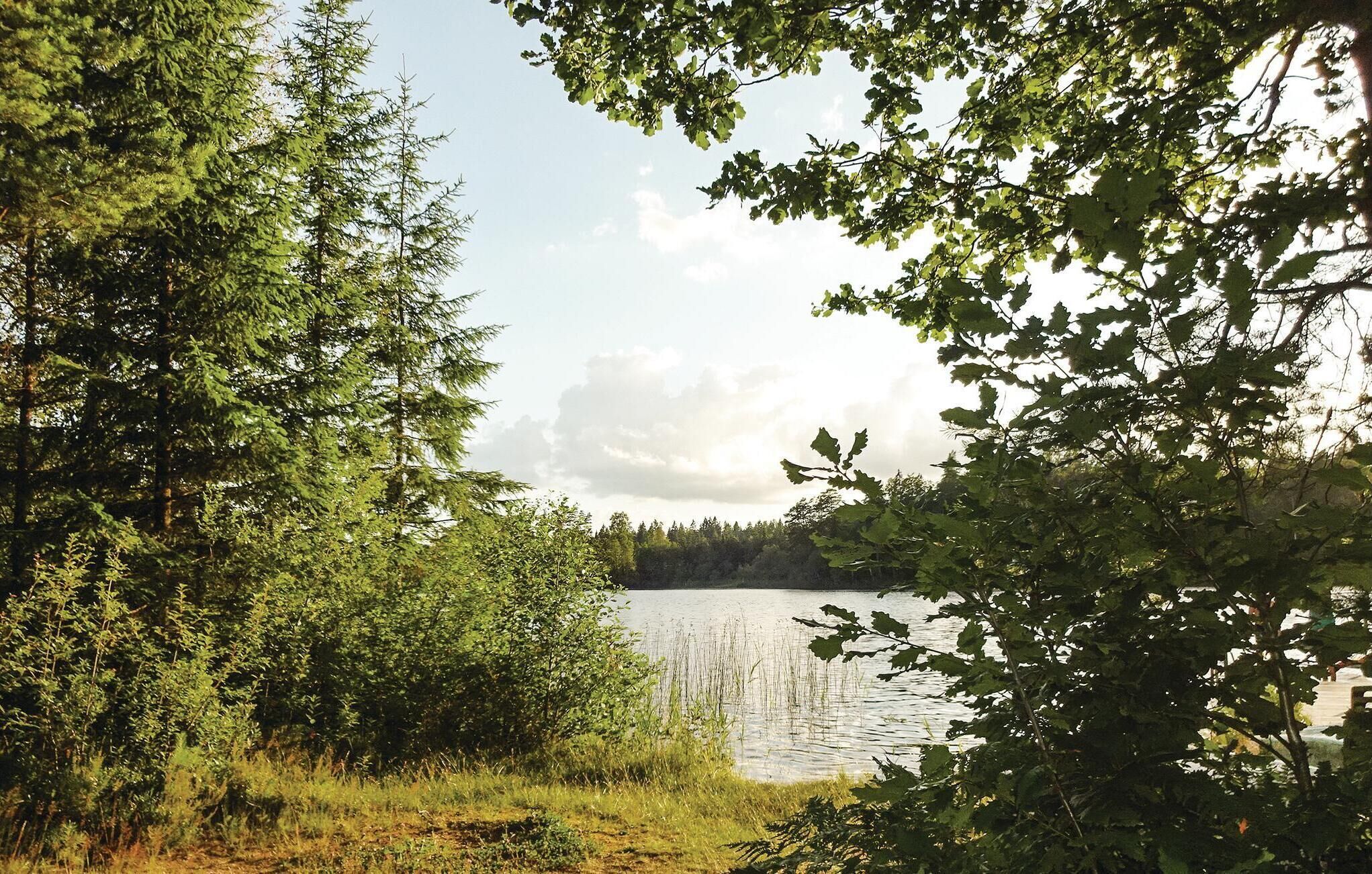A natural landscape with a lake surrounded by dense trees and vegetation.