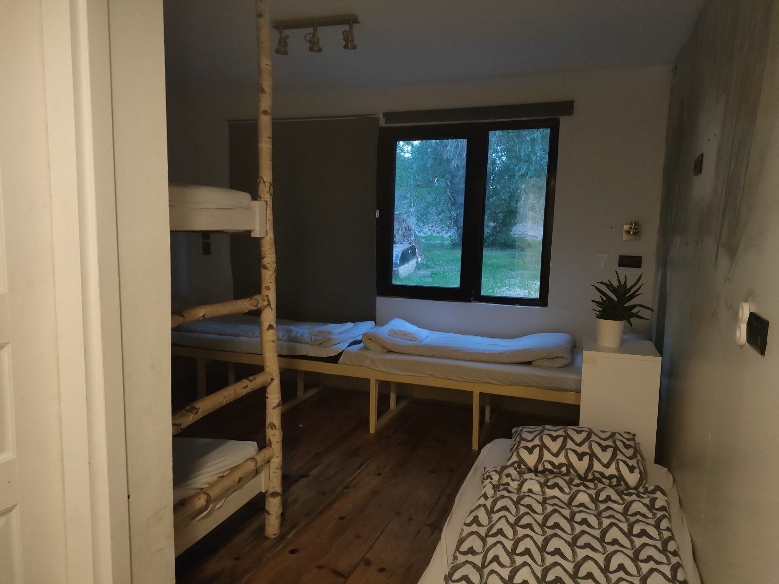A bedroom with bunk beds, a window with a view of greenery, and a bedside plant.