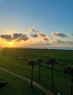 A grassy field with a path and palm trees, leading to a body of water with a sunset in the background. - Knot 4 Sail -Beach Front- Ocean Views- Front Row - 2BD/2BA. Sleeps 6 (Galveston)