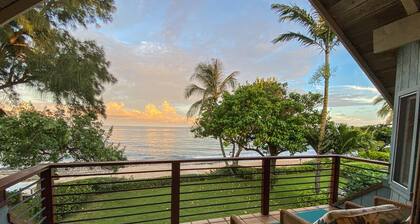 Ranta edessä - Kawela Kai Nani 501 - Lisenssi # 90 / TVU-0004