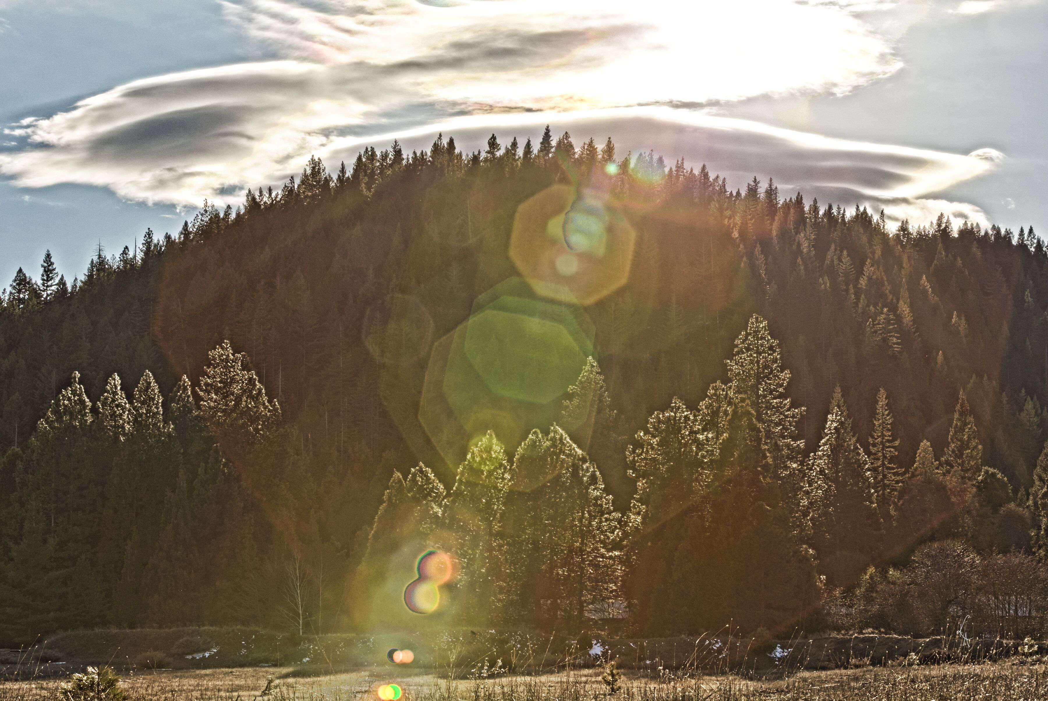 A forested mountain landscape with sunlight filtering through the trees.
