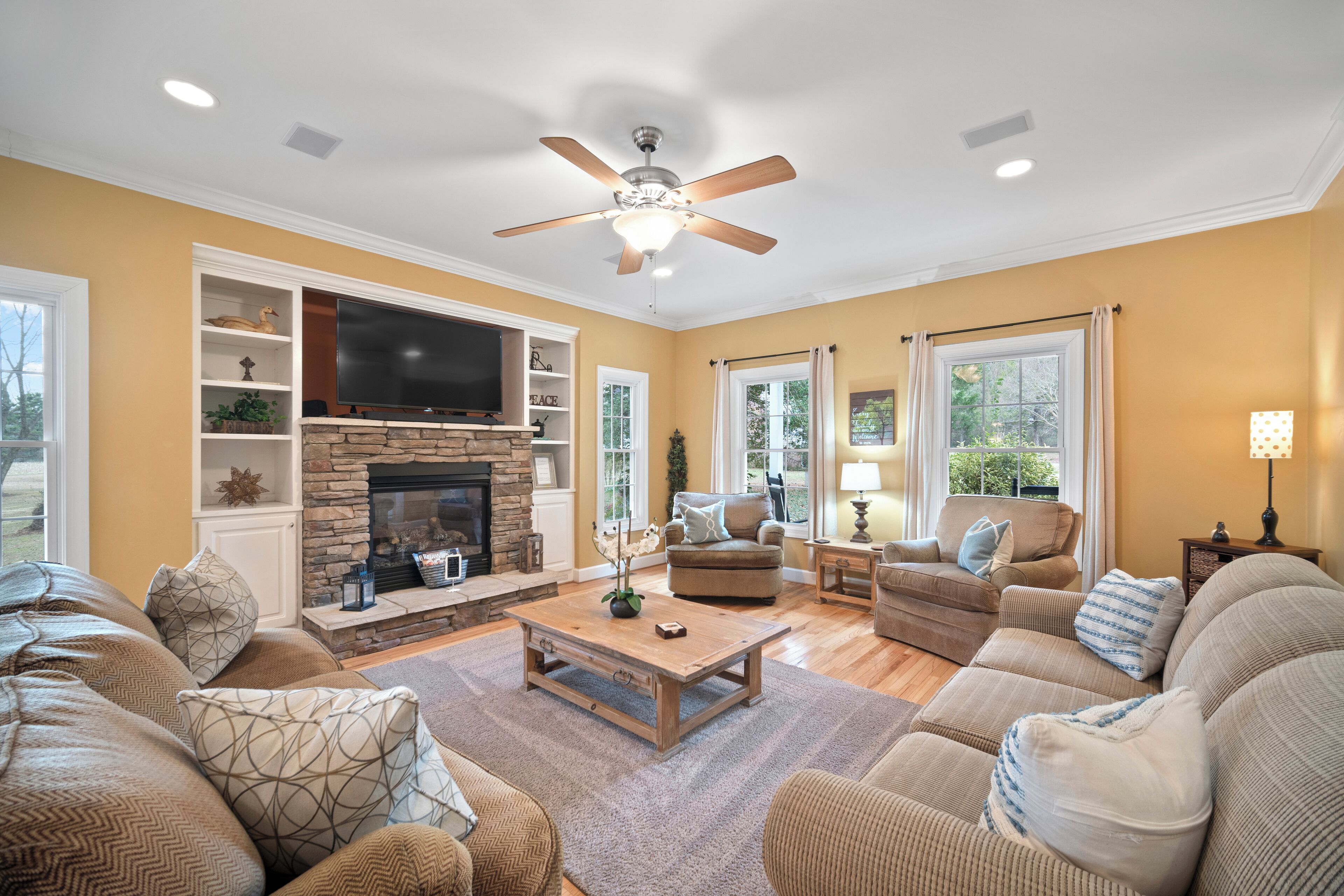 TV connectée, cheminée, livres, chaîne hi-fi