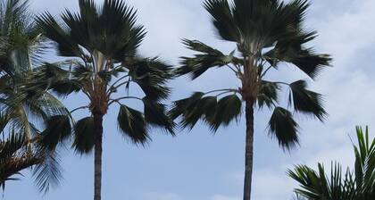 Easy Big Island Living! Ocean-Front Pool, quiet ground-floor unit.