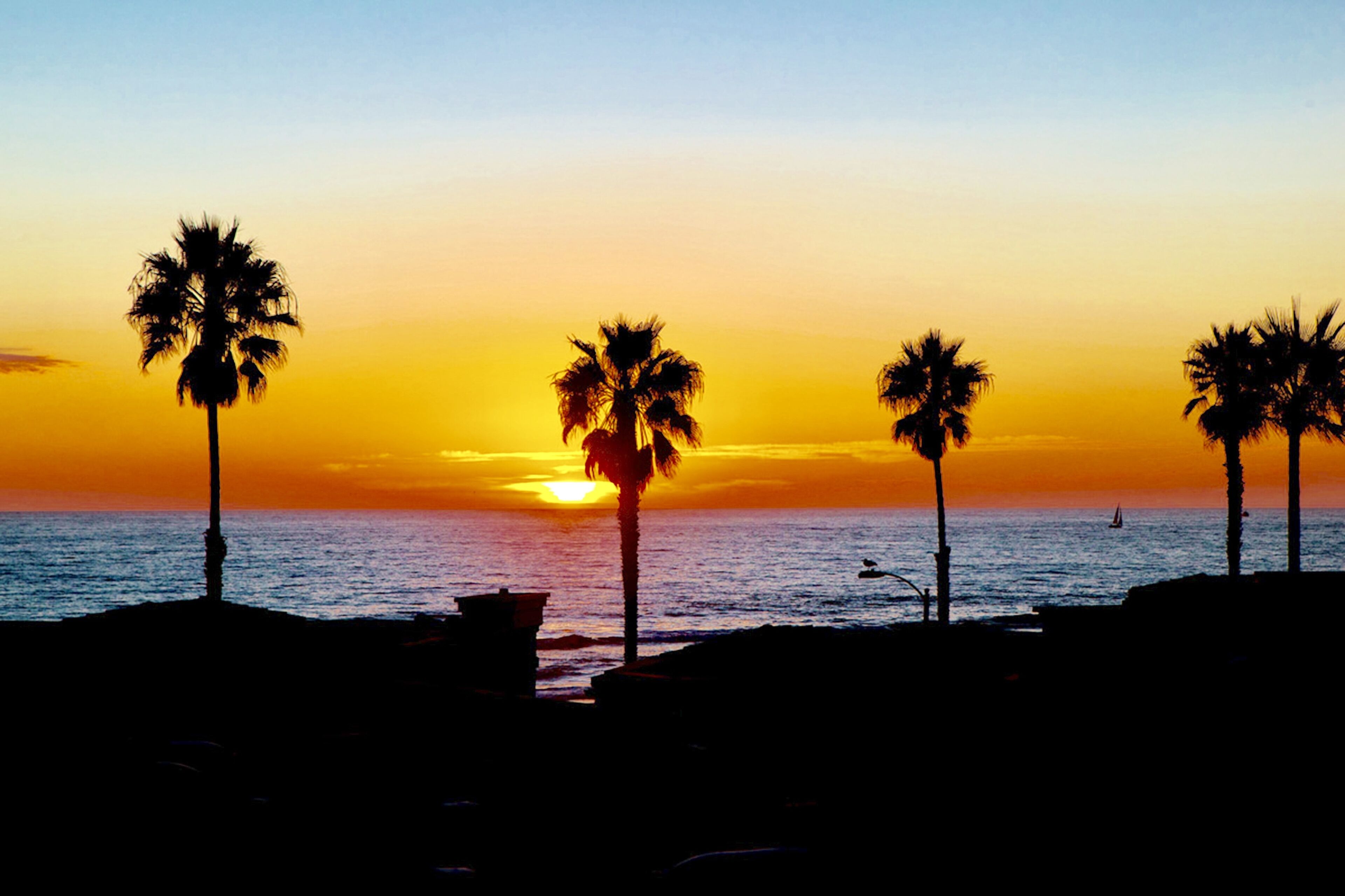 Panoramic Ocean View Penthouse Primary BR w/3 Balconies! 1,124 Sq Ft