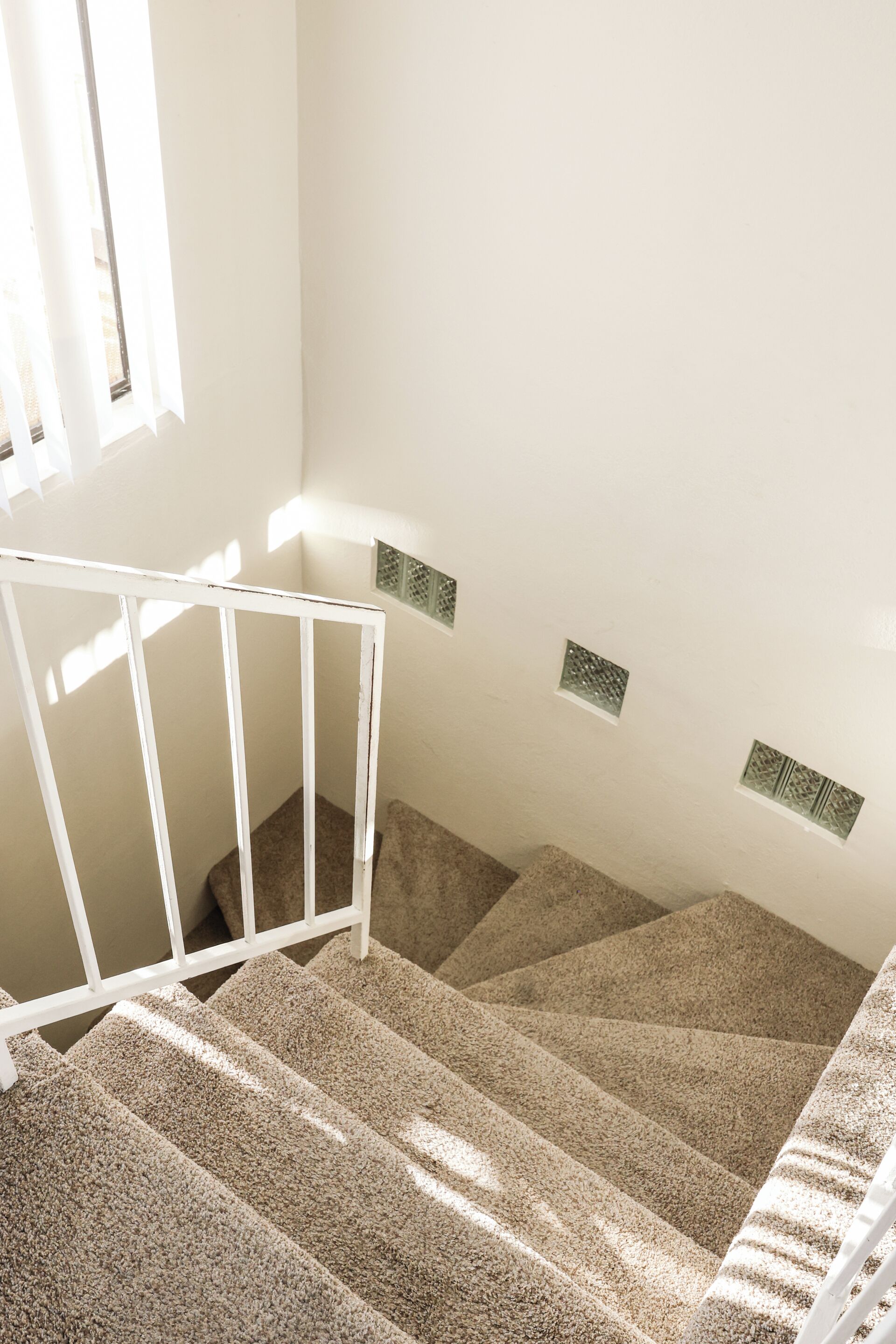 A carpeted staircase with a white handrail and a white door at the bottom.