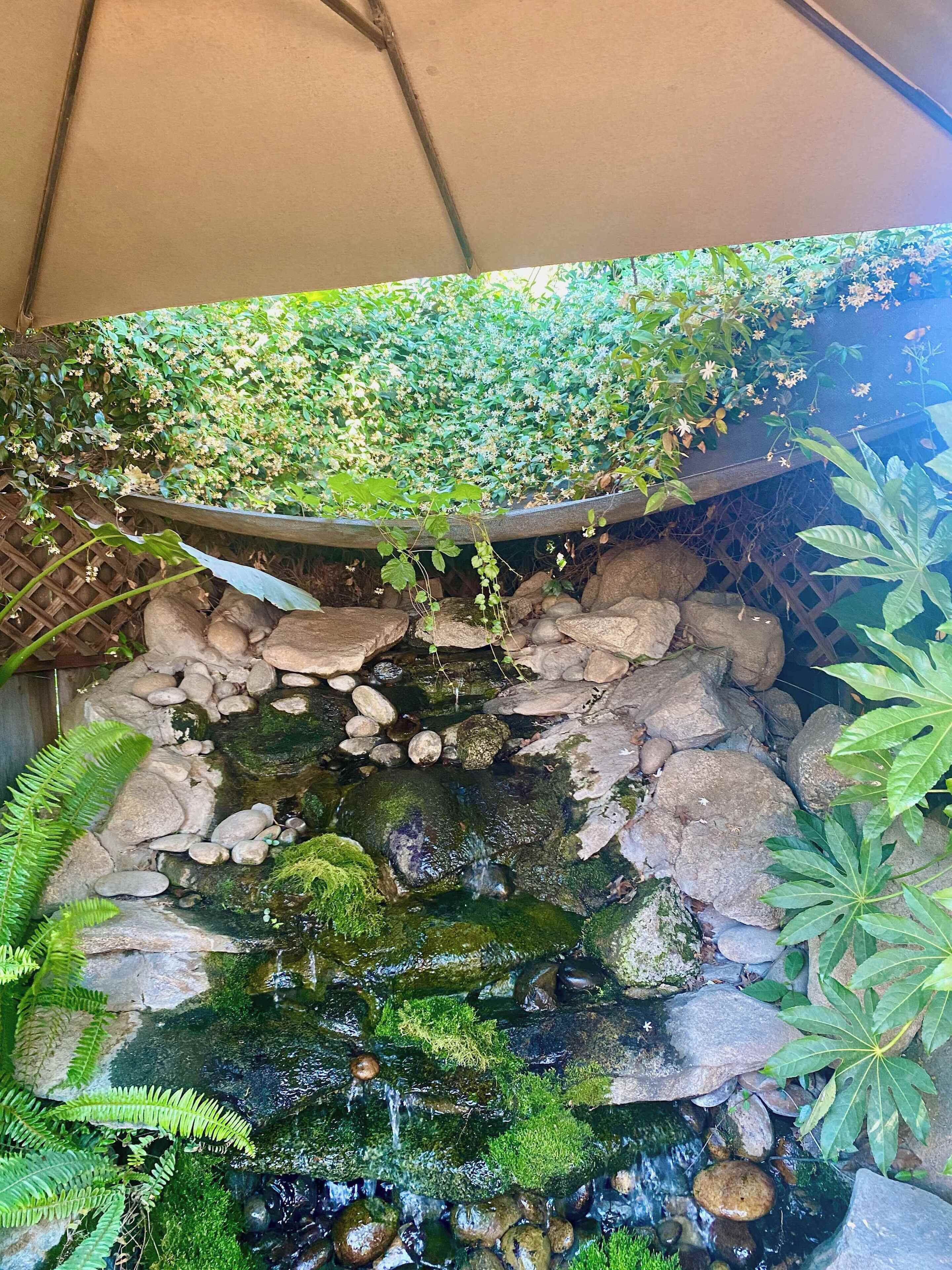 Áreas de la propiedad