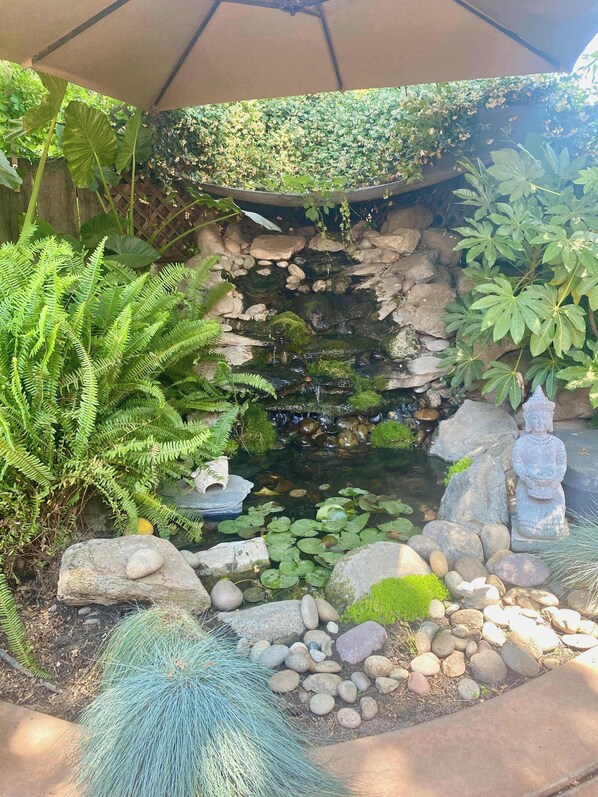Property grounds - Seq Parks-Hot Tub Fire Pit Koi Pond Outdoor Kitch (Visalia)