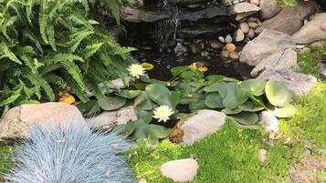 Een tuin met een kleine waterval, waterlelies, varens en een rotsformatie.
