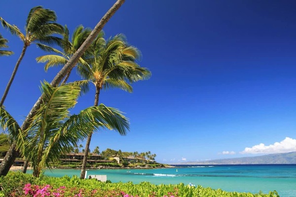 On the beach, sun loungers, beach towels