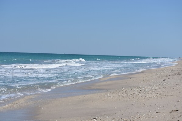 Camastros y toallas de playa 