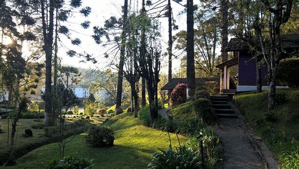 Un sendero conduce a un edificio de estilo tradicional rodeado de abundante vegetación y árboles altos.