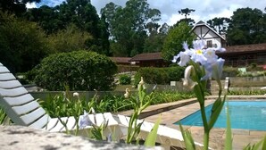 Zona de piscina con sillones de descanso, una flor en primer plano y un edificio al fondo.